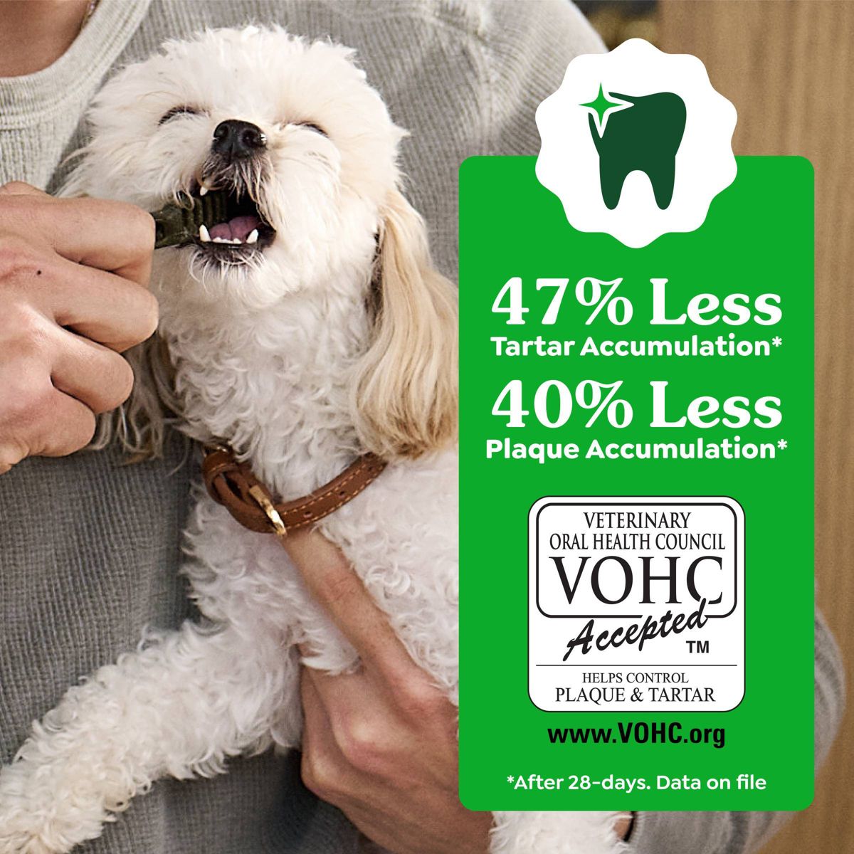 Greenies Large Chicken Flavor Chewy, Dental Hard Chews Dog Treats - thumbnail 6