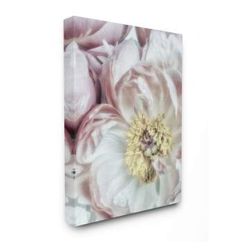 Stupell Industries Soft Flower Bloom Neutral Pink White Photograph