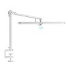 Honeywell LED Desk Lamp with Clamp Full Metal Eye Caring Natural Light 4000K 1300LM Stepless Brightness Dimmable - 2 of 4