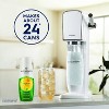 SodaStream Diet Ginger Ale Drink Mix 14.9 fl oz/4pk: Liquid Concentrate, Soda Streamer Flavor, Still, No Major Allergens - 3 of 4