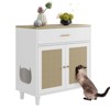 Cat Litter Box Enclosure with Drawer, Hidden Litter Box Furniture, Indoor Cat Washroom, Decorative Side End Table, Fit Most Cat and Litter Box - 2 of 4