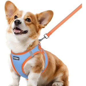 rabbitgoo Dog Harness Small Sized and Leash Set, Reflective Puppy Vest for Small Dogs, Light Blue & Orange, L - 1 of 1