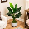 Northlight Potted Artificial Bird of Paradise Plant - 43" - 2 of 4