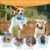 Squeaky Dog Toys for Medium and Small Dogs - 3 of 4