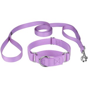 Country Brook Design Martingale Heavyduty Nylon Dog Collar and Double Handle Leash - 1 of 4