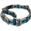 Country Brook Petz Puppy Picnic Martingale Dog Collar - image 2 of 4