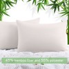PiccoCasa Zipper Closure Breathable Luxury Viscose From Bamboo Pillowcases 2 Pcs - 2 of 4