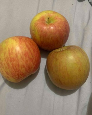 Rainier Organic Honeycrisp Apples - $17.99. Hands down, best apple