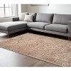 Beige And Brown Floral Medallion Area Rug With Fringe - 2 of 4