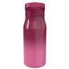 Zak Designs 14 fl oz Double Walled Stainless Steel Tranquility Insulated Straw Bottle - 2 of 4