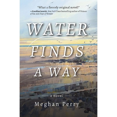 Water Finds a Way a Novel - by  Meghan Perry (Paperback)