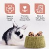 Evergreen Pet Supplies 4 Pack Furry Friends Timothy Hay Chewing Bowl for Small Pets & Bunnies - Edible Bowls for Guinea Pig Treats - 4 of 4