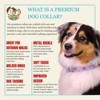 Country Brook Petz Premium Dog Collar - Spring Collection - 2 of 4