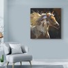 Trademark Fine Art -Carolyne Hawley 'Spirit Horse' Canvas Art - 3 of 4