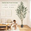 4/5/6/7FT Artificial Olive Tree, Faux Silk Plant with Natural Wood Trunk, Lifelike Fruits, Imitation Ceramic Planter & Green Moss for Home Office - 2 of 4