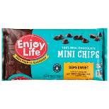Enjoy Life Semi-Sweet Gluten Free Dairy Free Vegan Mini Chocolate Chips - 10oz