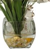 Nearly Natural Dancing Lady Orchid Liquid Illusion Silk Flower Arrangement White - image 3 of 3