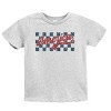 The Juniper Shop Checkered America Retro Youth Short Sleeve Tee - 2 of 4