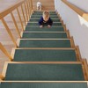 BAGOKIE 15PCS Non-Slip Carpet Stair Treads 8"x30" Mats Indoor for Wooden Steps - 2 of 4