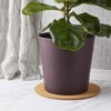 Juvale 3 Pack Plant Cork Mat, Round Planter Plate for Home Decor, House Plants (12 in) - 2 of 4