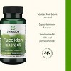 Swanson Maximum Strength Fucoidan Extract – Vegetarian Capsules [500 mg, 60 Count] - 4 of 4