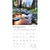 BrownTrout Nevada Wild and Scenic 2026 12"x24" Hanging Square Wall Calendar Plastic-Free - 4 of 4