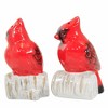 Ganz 3.25 In Cardinal Salt & Pepper Set. Earthenware Salt And Pepper Shakers - 3 of 3