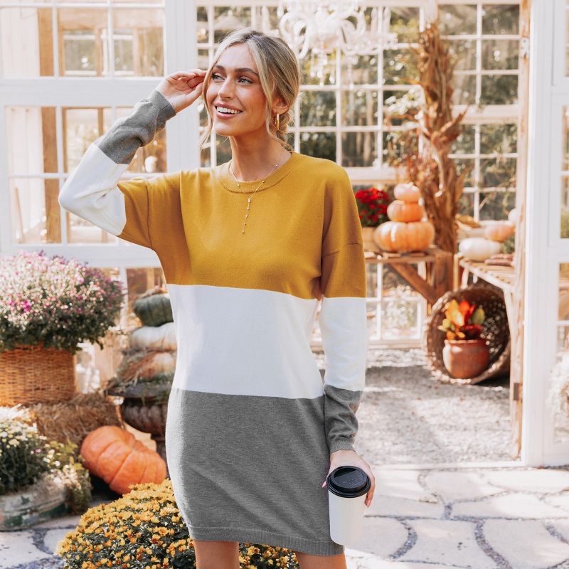 Women's Colorblock Drop Sleeve Mini Sweater Dress - Cupshe, 4 of 8