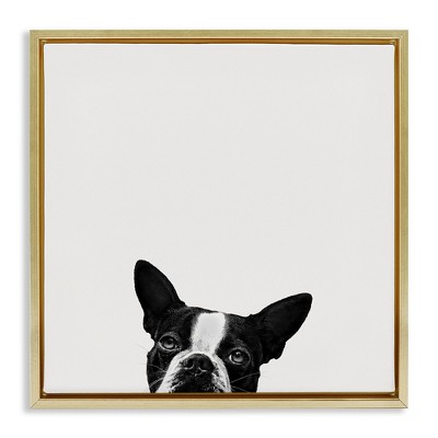 Stupell Industries Dog Peeking From Below, 18" x 18"