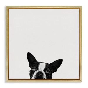 Stupell Industries Dog Peeking From Below, 18" x 18" - 1 of 4