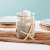 Juvale 12 Pack White Finger Starfish for Nautical Décor, Vase Filler, Craft Supplies (4 to 6 in) - 4 of 4