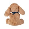 MLB Boston Red Sox 10'' Floppy Ear Dog Stuffed Animal - 2 of 2