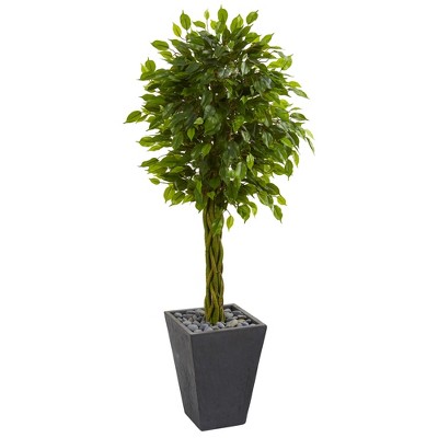 5ft Braided Ficus Artificial Tree In Slate Planter - Nearly Natural