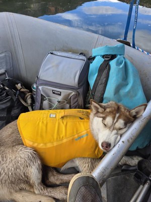 Guest review image 2 of 2, zoom in