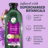Herbal Essences Passion Flower & Grapefruit Sulfate Free Volumizing Conditioner - 13.5 fl oz - 2 of 4