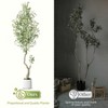 Whizmax Artificial Olive Tree - Faux Potted Plant in White Planter with Green Moss, Indoor Decor for Home, Office, Living Room - 3 of 4