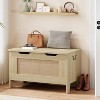 25/30/40 Inch Wooden Toy Chest for Kids, Large Storage Bench with Safety Hinge, Toy Box for Boys and Girls, Entryway, Living Room, Bedroom, Playroom - 2 of 4