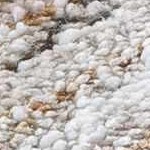 peach, ivory, black, tan, dark red