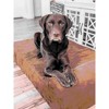 Barker Junior 4" Orthopedic Dog Bed - 3 of 4