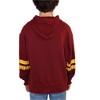IZOD Mens Collegiate Full Zip Hooded Sweatshirt - 3 of 4