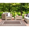 Liora Manne Malibu  Indoor/Outdoor Rug  Neutral.. - 3 of 4