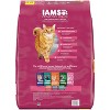 IAMS Proactive Health Urinary Tract Chicken Flavor Dry Cat Food - 2 of 4