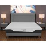 Dynasty Mattress 12 Inch Firm CoolBreeze Advanced Cooling Gel Infused Open Cell Memory Foam Mattress and Cool Silk Cover
