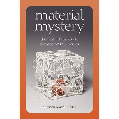 Material Mystery - by  Karmen Mackendrick (Hardcover)