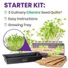 Hamama Home Microgreens Growing Kit - Cilantro Sprouts Growing Kit, Sprouting Kit - Grow Your Own Micro Greens Indoor - 2 of 4