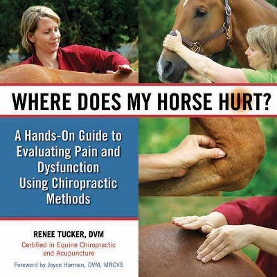 Where Does My Horse Hurt? - by  Renee Tucker (Hardcover)