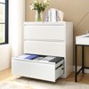 Flavia 3 Drawer Metal Label Frame Filing Cabinet with Secure Locking Mechanism | ARTFUL LIVING DESIGN - 3 of 4