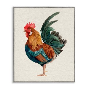 Stupell Industries Traditional Morning Rooster Illustration Elegant Bird Feathers Framed Giclee Art - 1 of 4