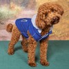 Doggie Design Weekender Dog Sweatshirt Hoodie - Royal Blue - 2 of 3