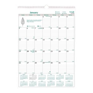 Rediform Office Products EcoLogix Monthly Wall Calendar 12-Month January 2026 to December 2026 EcoLogix Artwork White - 1 of 4